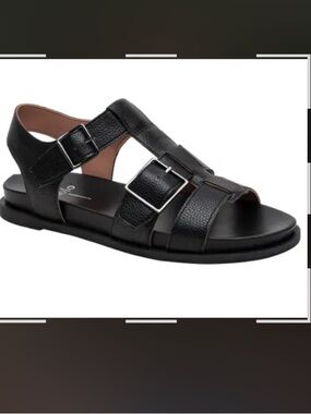 Like new linea Paolo Black Strappy Leather fisherman Sandals size 6